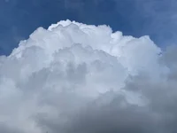 The Voliansky Family