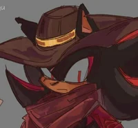 Outlaw Shadow