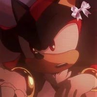 SHADOW T HEDGEHOG 
