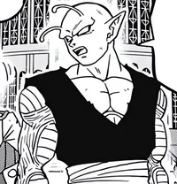 07 Piccolo