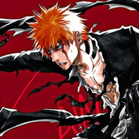 Bleach RPG TYBW