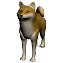 Doge