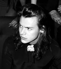 Harry Styles - mafia