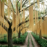 Spaghetti Tree Farm
