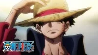 Monkey D Luffy