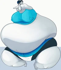 Sumo Wii Fit Trainer