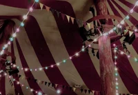 The Age of the Fools