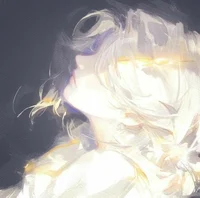 Lilliae