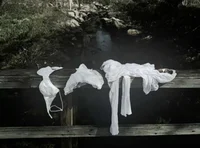 02 SHADOWBANNED BOTS