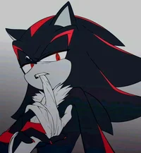 SHADOW T HEDGEHOG 
