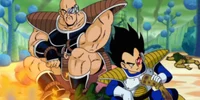 Vegeta and Nappa