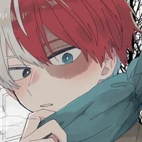 Todoroki Shouto