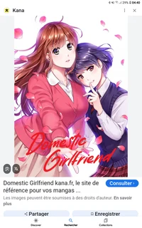 Domestic girlfriend