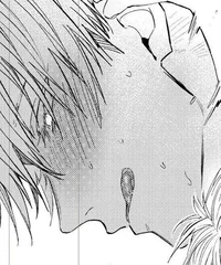 Сатору снежный барс 