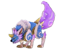 Coyote