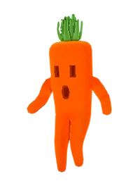 Carroteer