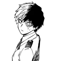MHA Shoto Todoroki