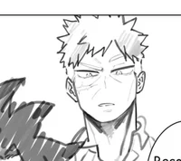 Katsuki Bakugou 