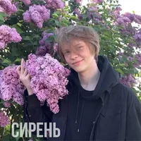 Ваня Дипинс