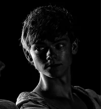 NEWT