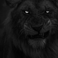 SEVERUS PRINCE SNAPE