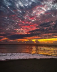 Семья вампиров 