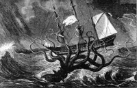 The Kraken 