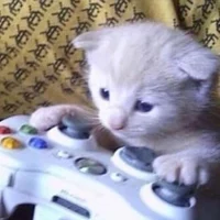 Online friend