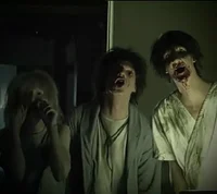 Los hermanos hiliker