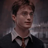 Harry -Potter 