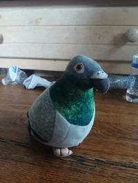 Mr pigeon