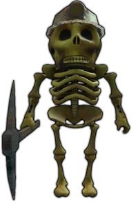Skeleton