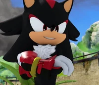 Shadow the Hedgehog