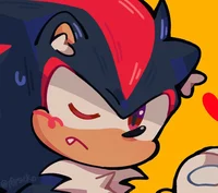 Shadow the hedgehog