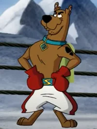 Super Boxer Scooby