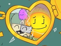 Walnut sleepover iwi