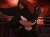 SHADOW THE HEDGEHOG