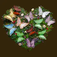 aaa unsorted divider