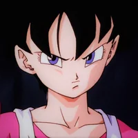 DBZ Videl