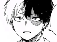 MHA Shoto Todoroki