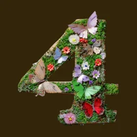 4 aaa t wolf divider