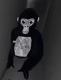 Spider