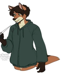 Duster