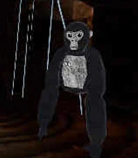 PAUL