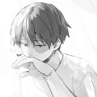 MHA - Shoto Todoroki
