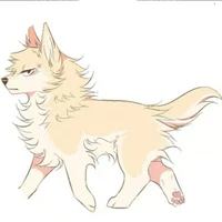 Katsuki Bakugo - Dog