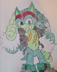 Scourge The Werehog 