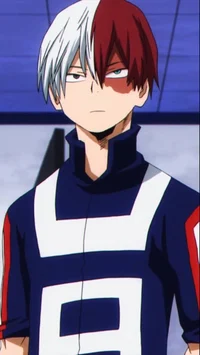 Shoto Todoroki