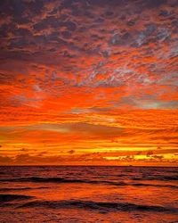 Нанами годзё юджи