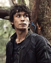 Bellamy Blake